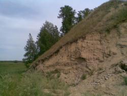 post-2369-0-94890800-1291983098_thumb.jp