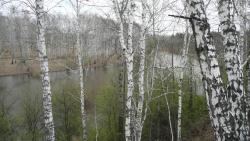 post-2369-0-95439700-1291296253_thumb.jp