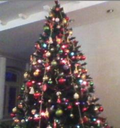 post-2627-0-28131700-1293788832_thumb.jp