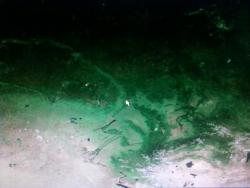 post-2817-0-23229300-1293071874_thumb.jp