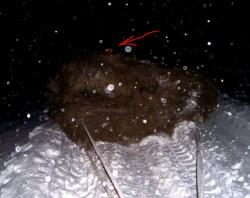 post-4269-0-89296000-1292169526_thumb.jp