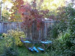 post-4485-0-00736800-1291892402_thumb.jp