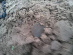 post-4855-0-02383500-1293029116_thumb.jp