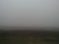 post-4855-0-09202300-1293029024_thumb.jp