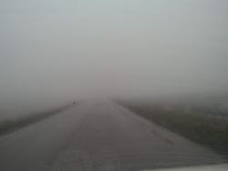 post-4855-0-18407700-1293205932_thumb.jp