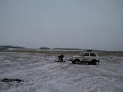 post-4855-0-28443800-1292174163_thumb.jp