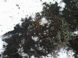 post-4855-0-40988500-1292430434_thumb.jp