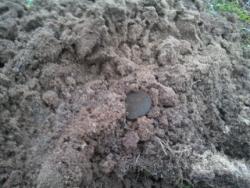 post-4855-0-49673100-1293029143_thumb.jp