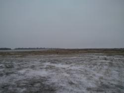 post-4855-0-64991900-1292174235_thumb.jp