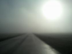 post-4855-0-70465600-1293205807_thumb.jp