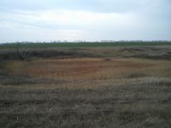 post-4855-0-71150900-1291992484_thumb.jp