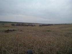 post-4855-0-75908300-1291992143_thumb.jp