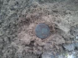 post-4855-0-96862300-1292515855_thumb.jp