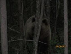 post-1677-0-35591400-1324540198_thumb.jp