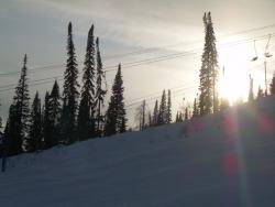 post-1724-0-30247500-1324700802_thumb.jp