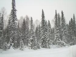 post-1724-0-43247500-1324700859_thumb.jp