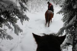 post-3052-0-00386800-1324661574_thumb.jp