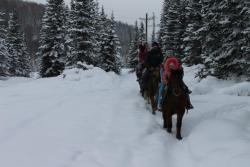 post-3052-0-16592400-1324661582_thumb.jp