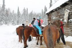 post-3052-0-34066300-1324661563_thumb.jp