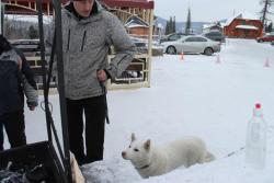 post-3052-0-85017400-1324661406_thumb.jp