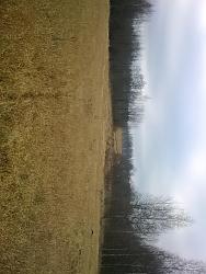 post-3696-0-19965200-1323850883_thumb.jp