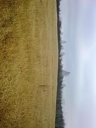 post-3696-0-78659500-1323850864_thumb.jp