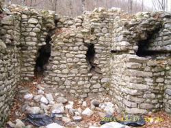 post-3939-0-38771600-1324587473_thumb.jp