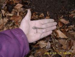 post-3939-0-41604600-1324587981_thumb.jp