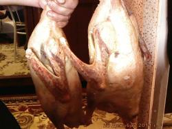 post-4269-0-36649700-1325069795_thumb.jp