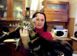 post-4341-0-29141800-1323724979_thumb.jp