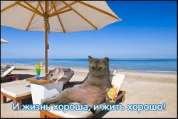 post-4341-0-50896100-1323724347_thumb.jp