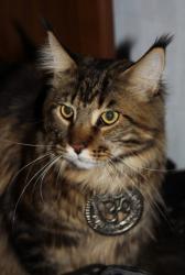 post-4341-0-68695000-1323724488_thumb.jp