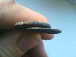 post-4989-0-09263600-1324796100_thumb.jp