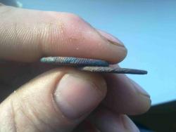 post-4989-0-12392900-1324793793_thumb.jp