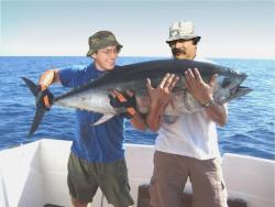 post-5029-0-11251900-1323875340_thumb.jp