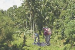 post-5029-0-22145300-1324471941_thumb.jp