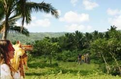 post-5029-0-45301400-1324303229_thumb.jp