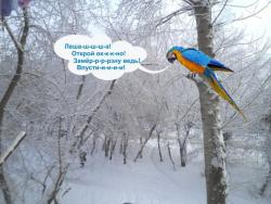 post-5029-0-49110500-1324189044_thumb.jp