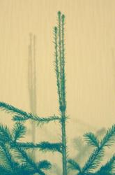 post-5029-0-51105200-1324907497_thumb.jp