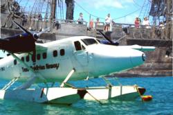 post-5029-0-52917800-1324548320_thumb.jp