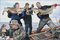 post-5029-0-55119500-1323875360_thumb.jp