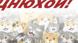 post-5029-0-56856300-1324968990_thumb.jp