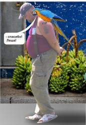 post-5029-0-57315400-1323699466_thumb.jp