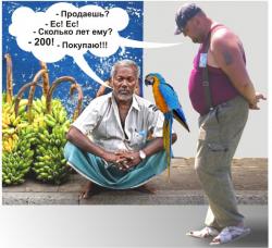 post-5029-0-58702100-1323699314_thumb.jp