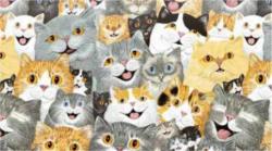 post-5029-0-58905300-1324969010_thumb.jp