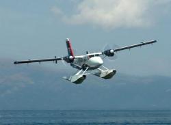 post-5029-0-63826000-1324547511_thumb.jp