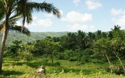 post-5029-0-83715200-1324200224_thumb.jp