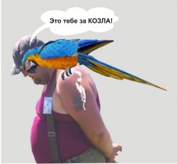 post-5029-0-93879500-1324034540_thumb.jp