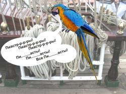 post-5029-0-97304400-1323704469_thumb.jp