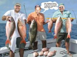 post-5029-0-98802200-1323954095_thumb.jp